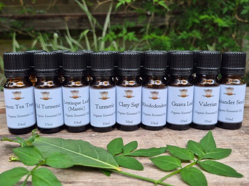 Organic RHODODENDRON Essential Oil, 10ml - Picture 3 of 6
