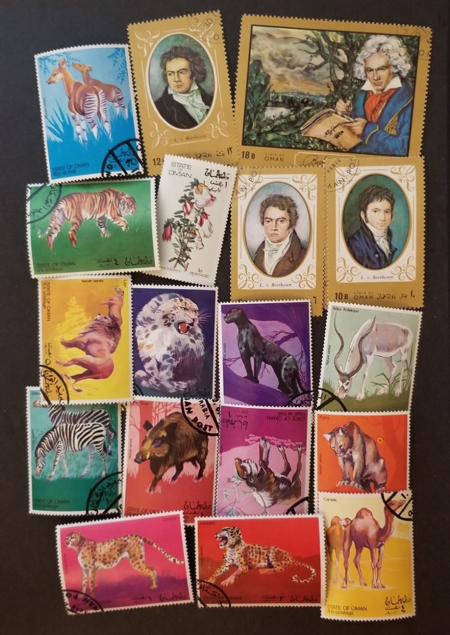 Picture 1 of 1