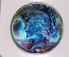 1922-P Peace Silver Dollar Ms66 Amazing Toned