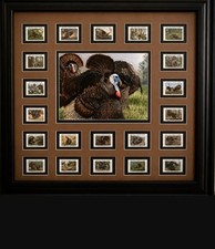 Wild Turkey Stamp Framed Display w/ Turkey Artwork, $5 US Birds 1994-2014