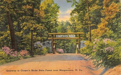 Cooper's Rock State Forest Morgantown West Virginia Entrance WV Vtg Postcard J8