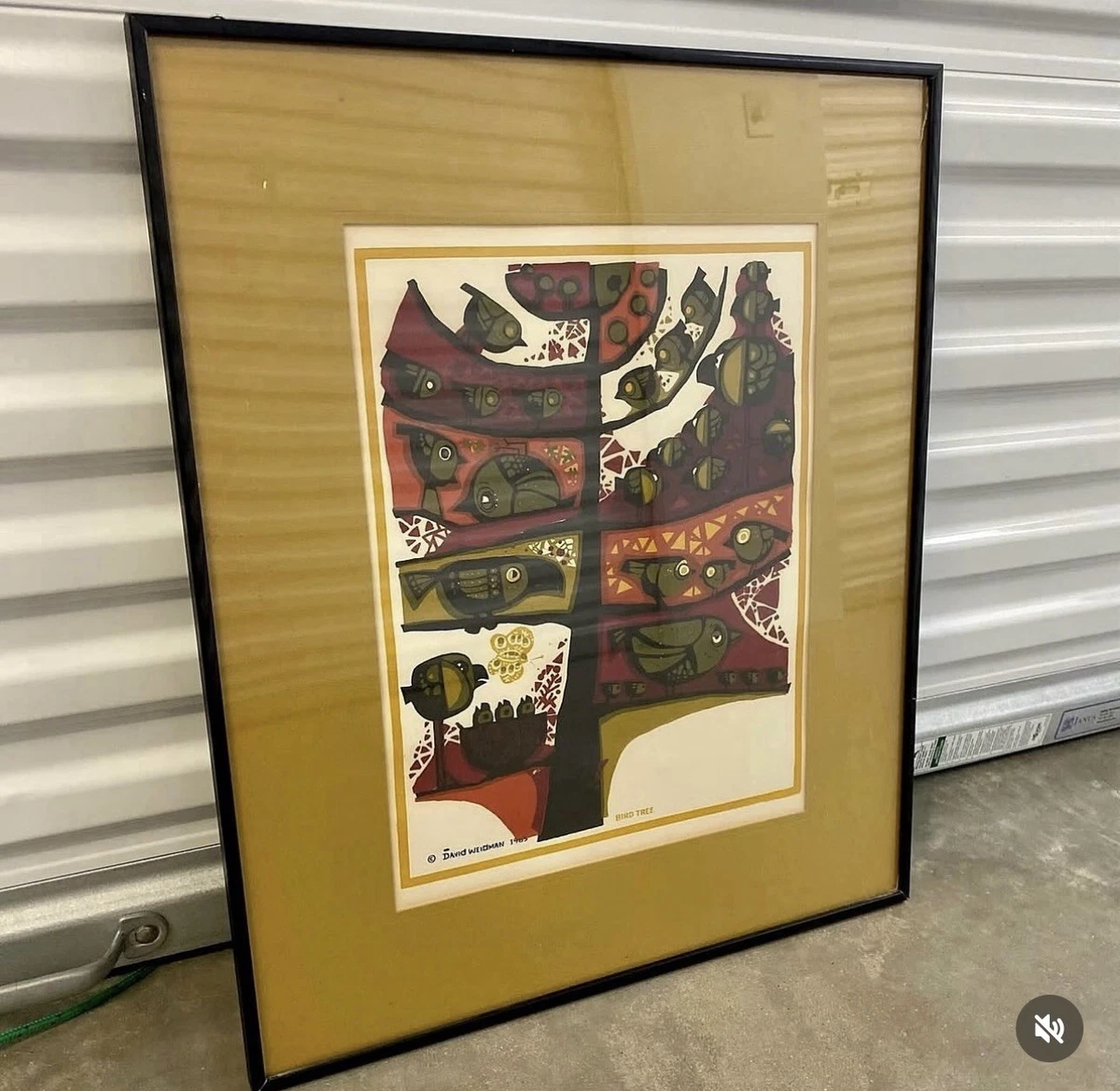 David Weidman for sale | eBay