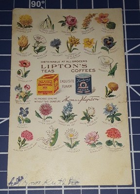 1907 LIPTON'S TEAS & COFFEES Used Postcard Advertising Illustrated Post Card