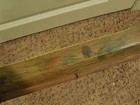 Picture 9 of 9