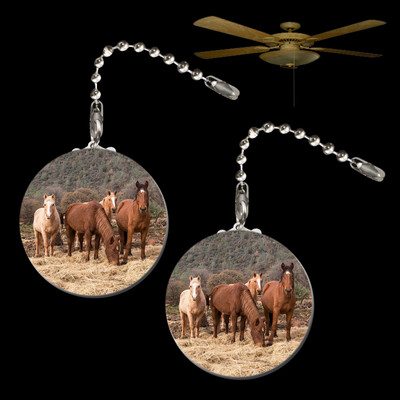 2 Horse Herd Button Fan Pulls 31038 Light Pull Farm Ranch Western