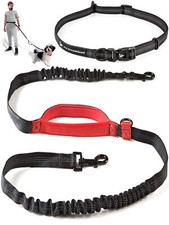 Exquisite Hands-Free Dog Leash for Medium Dogs Perfect for Active Pet Owners ...