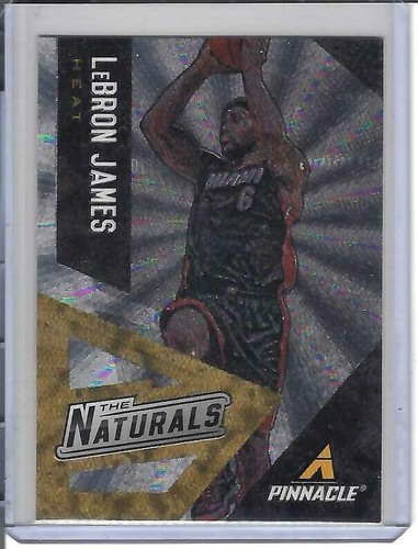 LeBron James #1 2013 Panini Pinnacle the Naturals card