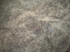 Luxury Alpaca Art Batt 24x24 in 5.2 oz Layered Colors Sparkle Spinning Fiber X22 — photo 10