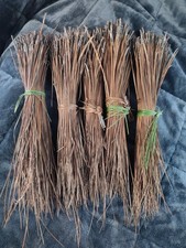Long Leaf Pine Needles for Basket Making Basket Weaving Basketry 5 Bundles 1 Lb