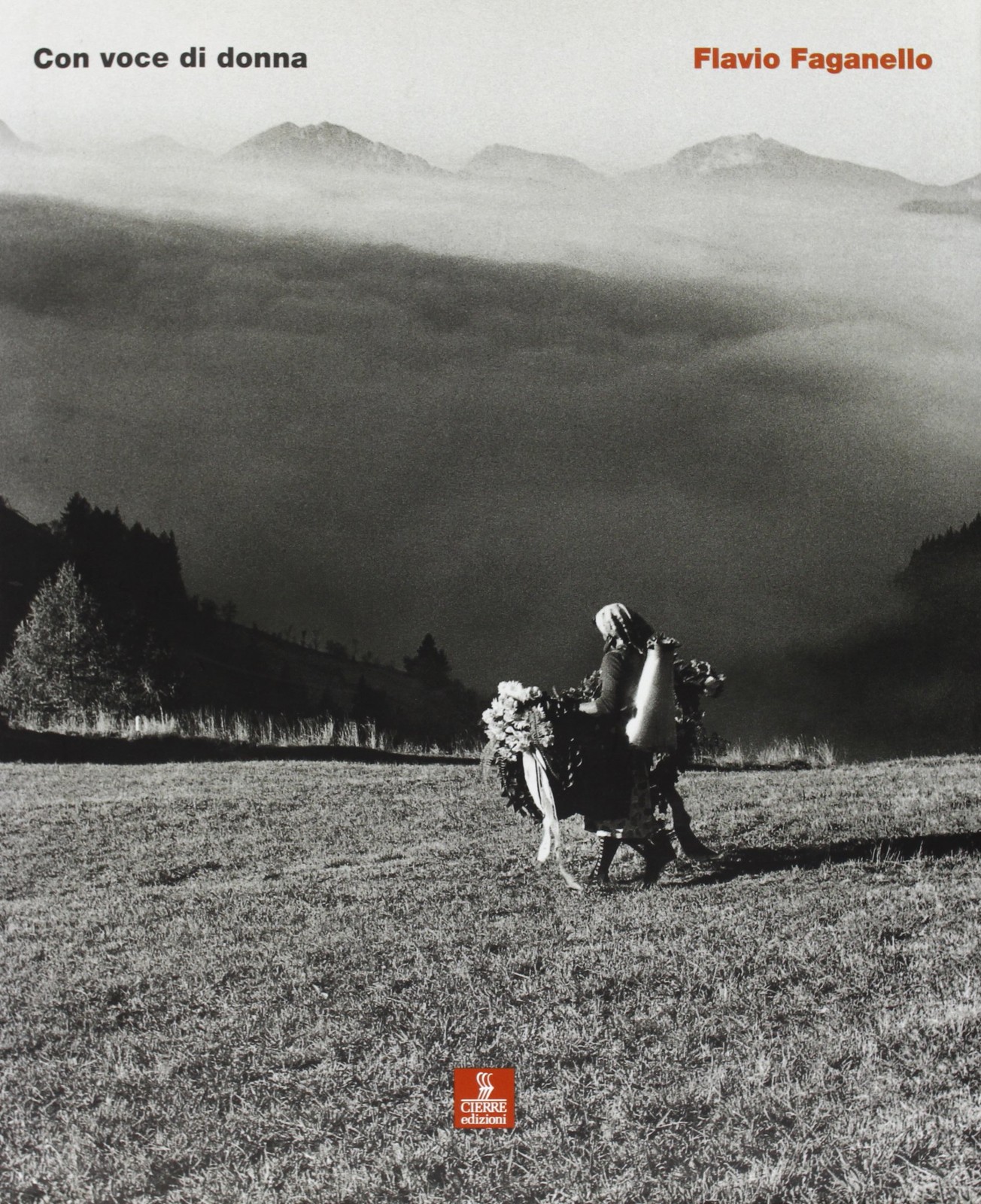 Флавио Фаганелло Голос донны (Мягкая обложка) (ИМПОРТ ИЗ Великобритании)