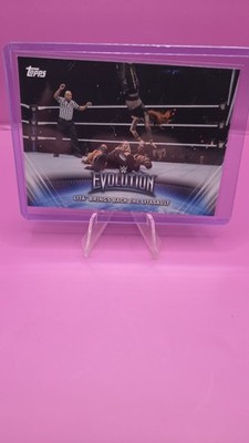 WWE Lita Litasault Evolution Womens Division Topps 