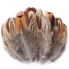 Soarer Mixed Natural Craft Feathers - 300pcs 3-5inch Feathers for Dream Catch...