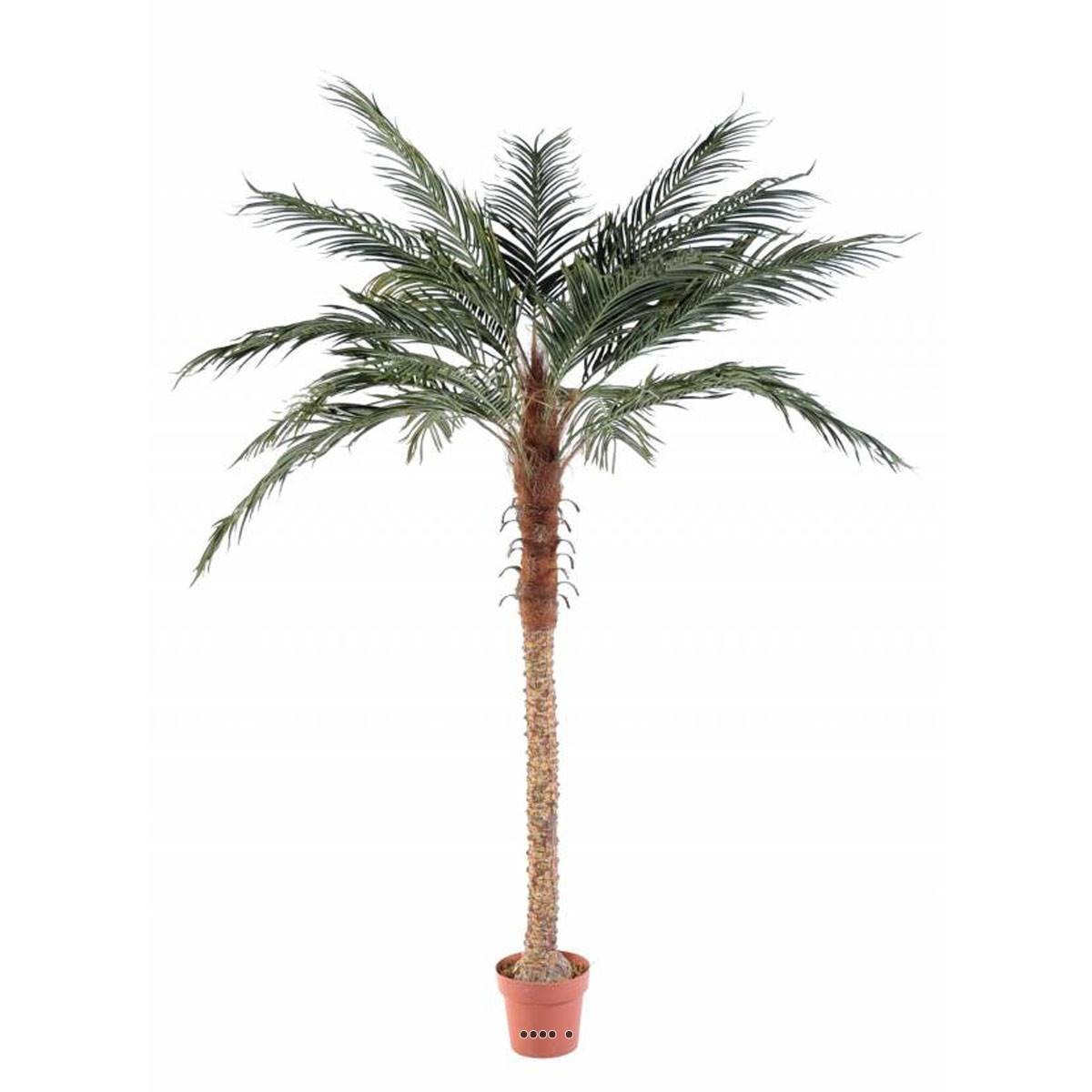 Palmier Phoenix artificiel grand format pour créer une ambiance jungle urbaine