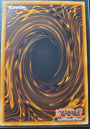 Ritual Beast Tamer Elder SEC 1ª Edición RA03-EN012 M PF YuGiOh Bonanza Series - Imagen 2 de 2
