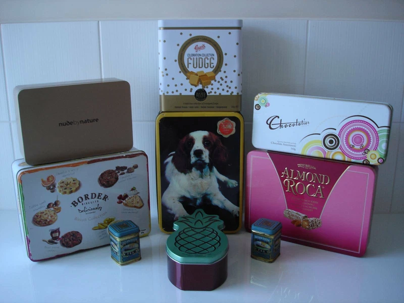 gumtree basset hound