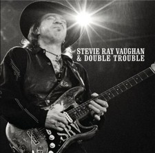 Stevie Ray Vaughan  2" Vinyl Stickers  Fender Strat  Blues  Texas