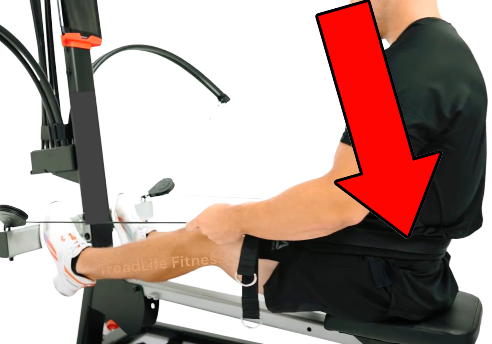 NEW Bowflex Adjustable Leg Press Rowing Row Belt Ultimate 2 Blaze Power Pro XTL