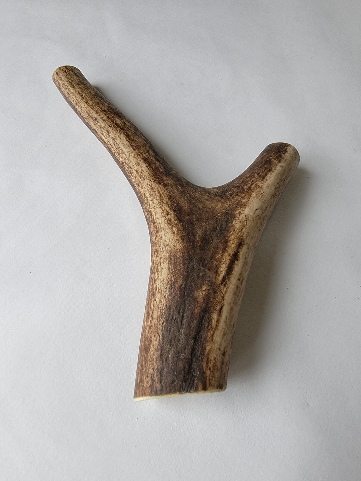 Masticación de perro/Nueva temporada/Cuerna de ciervo rojo premium para perro que ama masticar