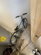 Mountain Bike For Adults Needs New Tire