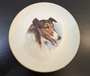 Pikard China Hand Painted Collie Gold Rim Cottage Core Cozy Dog