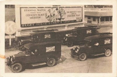 Puget Sound Power & Light Co. Washington State Vintage Postcard