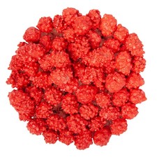 FRENCH BURNT PEANUTS SMALL - 3/4lb - Fresh Best Price Candy - SHIPS FREE