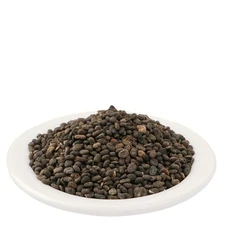 Eva Impex Babchi Seeds – Psoralea Corylifolia Bapchi