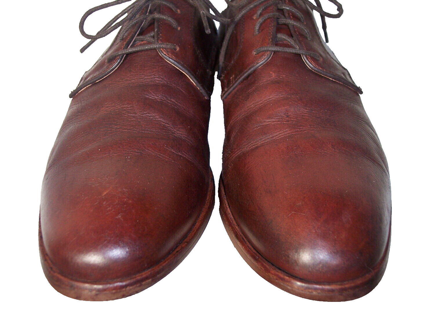 SAOLA Scarpe eleganti derby marroni in pelle Warfield & Grand Gibson taglia 11