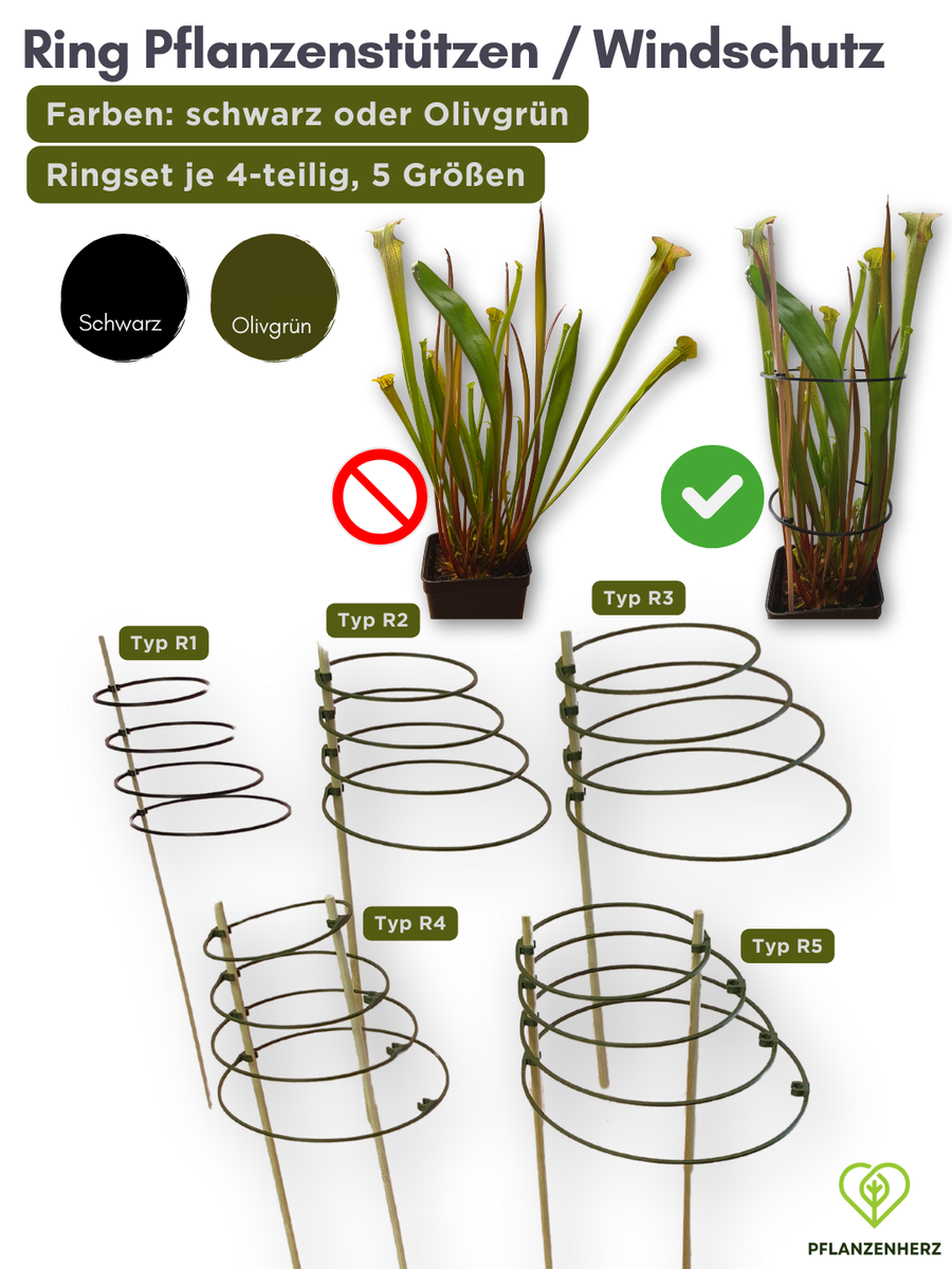 Ring-Sttze, Pflanzensttze, Blumensttze, Windschutz fr Sarracenia  Karnivoren | eBay.de
