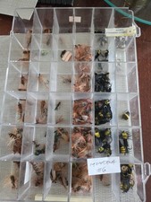 Amber Nymph Bee  and Other New Fly Fishing Flies 200+ Fly Store Closure