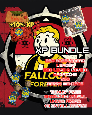 FALLOUT 76-PC-XP BUNDLE