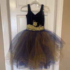 Ballet Dance Recital Outfit / One Piece Leotard and Tutu Size Child Large