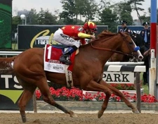 JUSTIFY 2018 BELMONT STAKES 8X10 GLOSSY PHOTO PICTURE TRIPLE CROWN