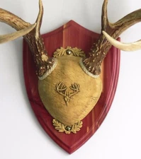 Cedar Ultimate Antler Mounting Kit for Deer - The Taxidermists' Woodshop