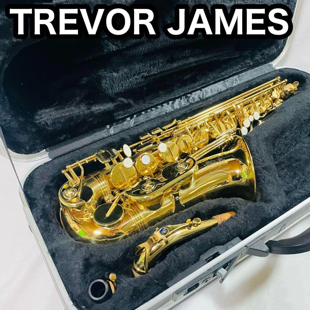 Trevor James Alto Saxophone Saxophones for sale | eBay