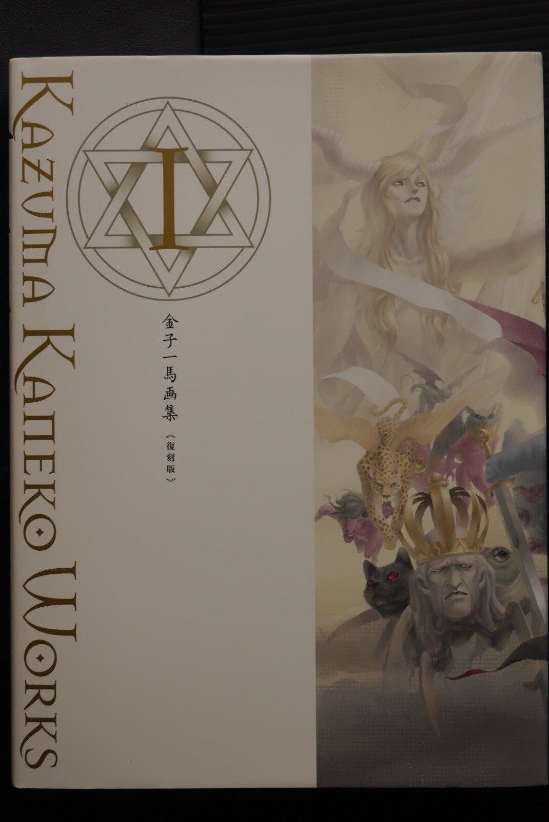 Kazuma Kaneko Works IX Hardcover Art Book (FedEx/DHL)