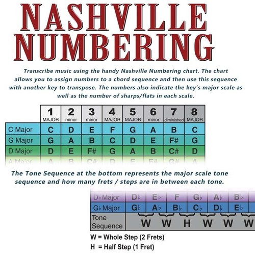 LAMINATED 4 String Bass Fretboard Chart Poster Nashville Numbering Theory - Picture 4 of 7