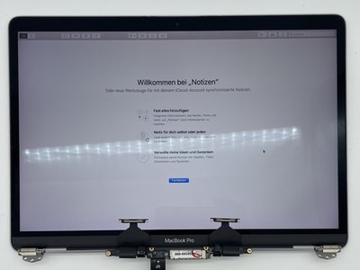Original Display MacBook Pro 13'' 2016 - 2017, A1706 A1708 SpaceGrau