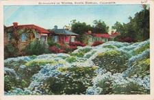 1935 bungalows in winter Santa Barbara, CA California POSTCARD