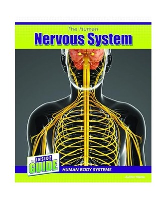 The Human Nervous System [Inside Guide: Human Body Systems], Lawton, Cassie M.