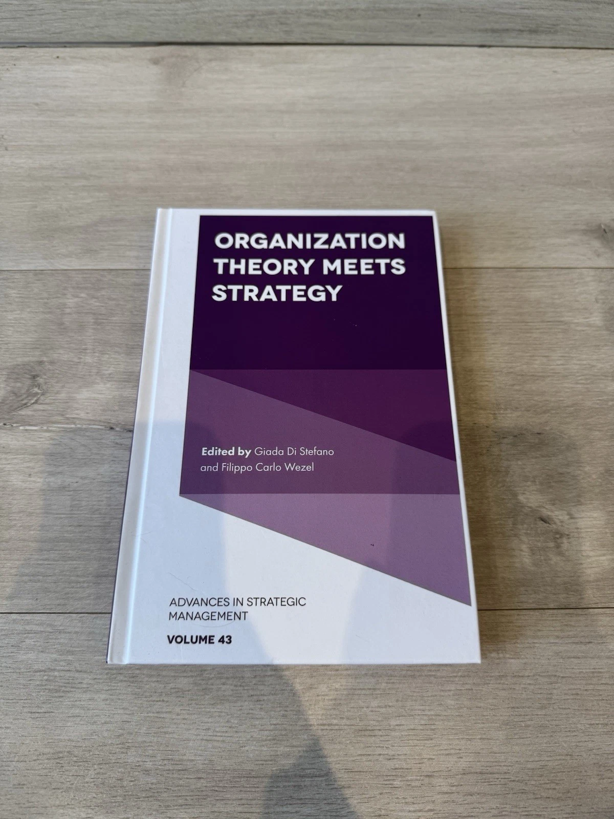 Organization Theory Meets Strategy by Giada Di Stefano 9781837538690