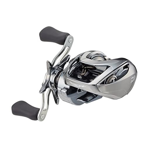 Daiwa Steez Limited SV TW 1000S-XH Bath Bait ReelNEW | eBay