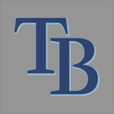 Tampa Bay Rays 11 MLB Team Pro Sports Vinyl Sticker Decal Car Window Wall