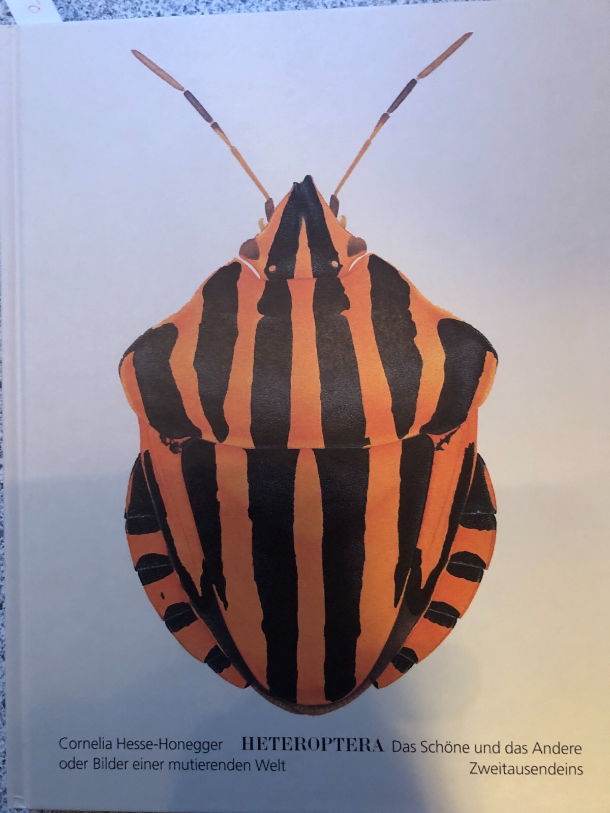 Hesse-Honegger im radio-today - Shop