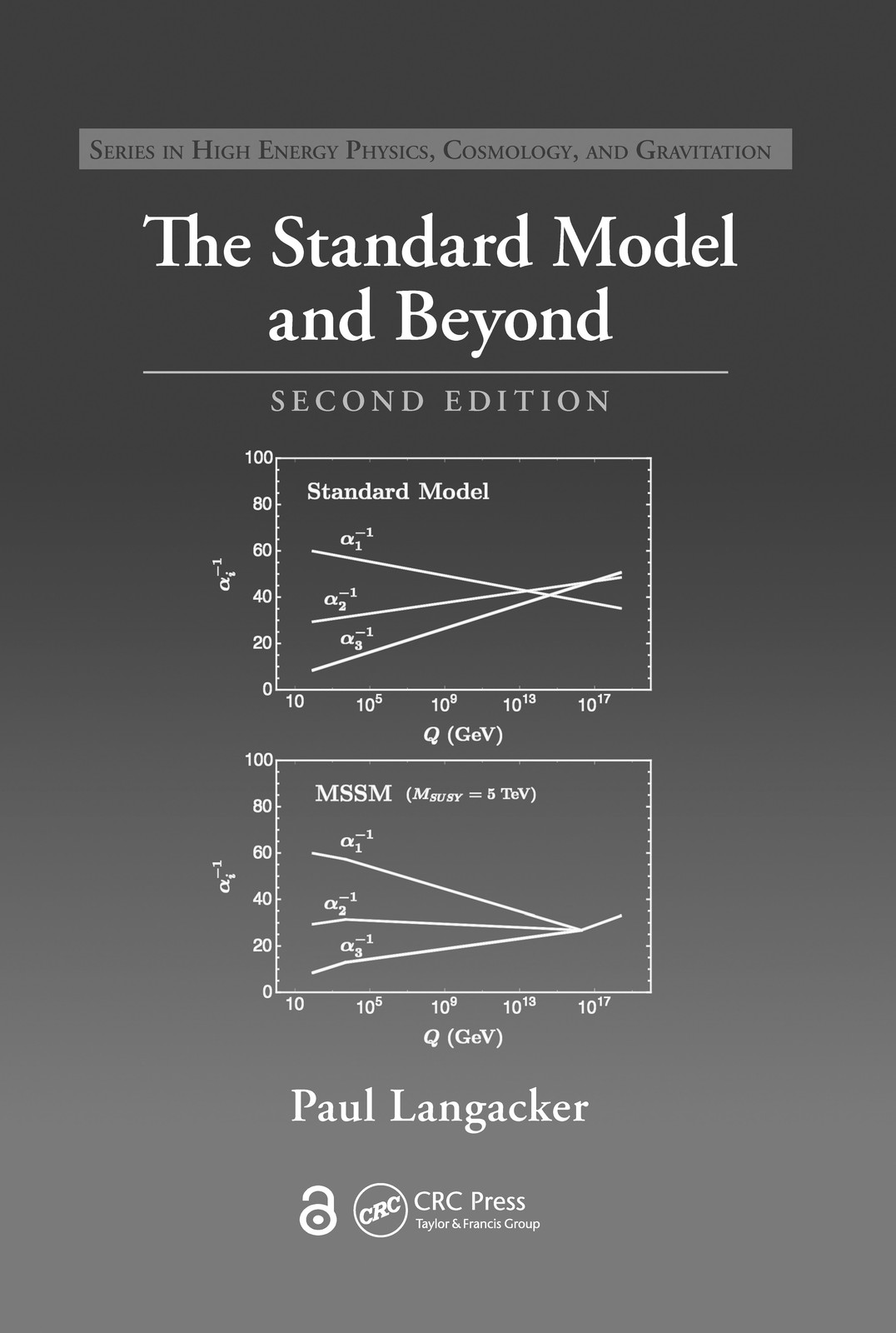 Standard Model and Beyond - 2nd Edition