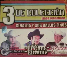 Lalo Elizalde,Mario El Cachorro,El Patron de Sinaloa 3 de Coleccion Box set 3CD