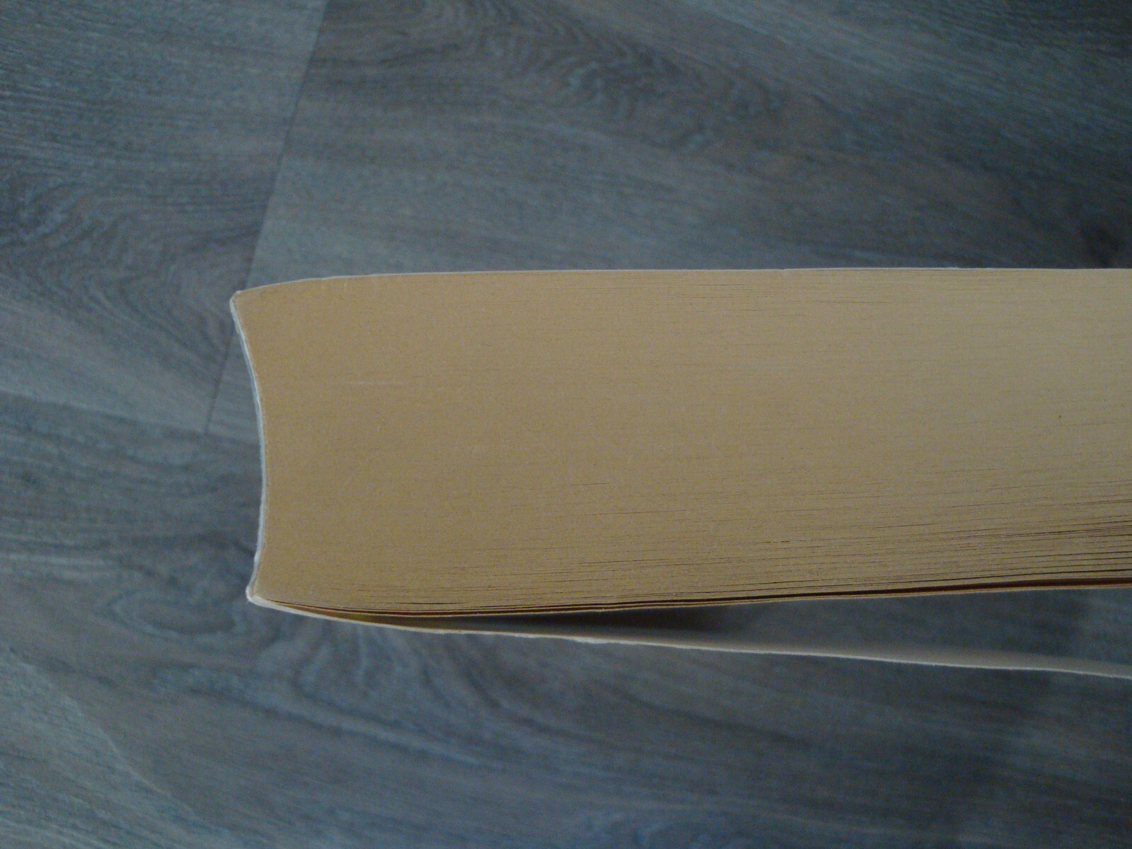 Bild 7 von 10