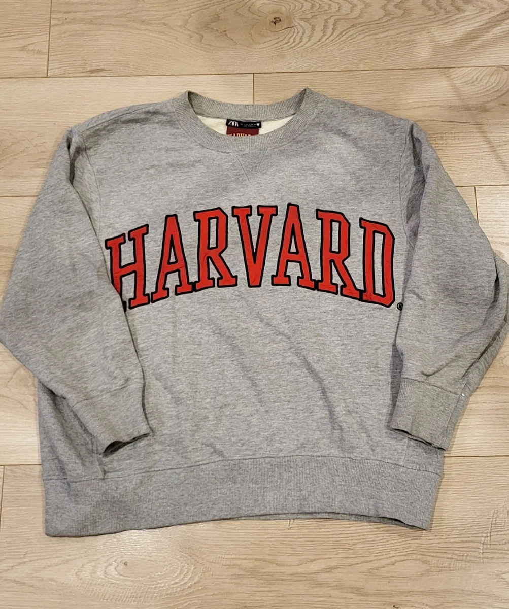 Pull zara homme d'occasion - Vêtements