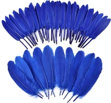 iHUFeather 270pcs Royal Blue Goose Feathers for Crafts 2 Styles 