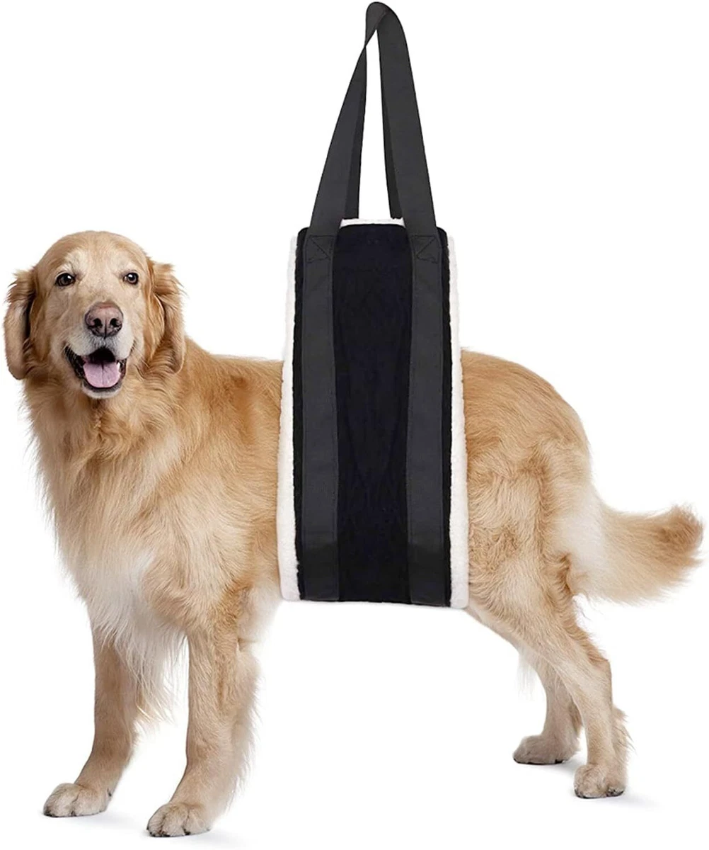 Hind end top harness for dogs